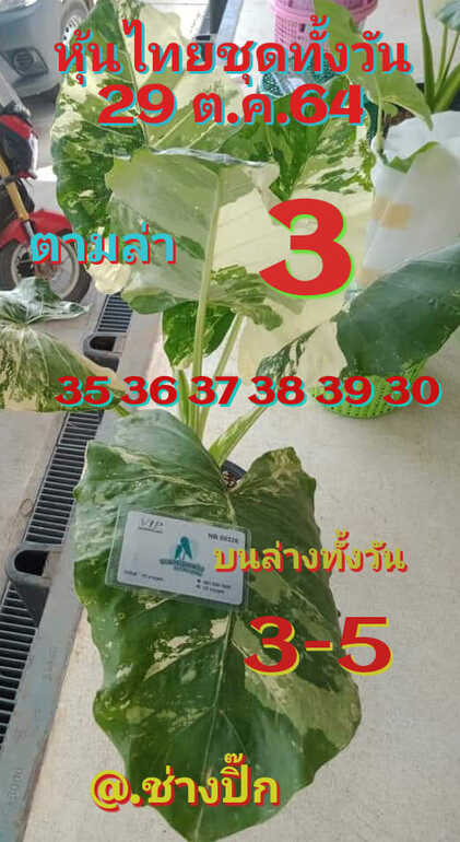 หวยหุ้น 29/10/64 ชุดที่ 8