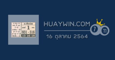 หวยอาจารย์เสือน้อย 16/10/64