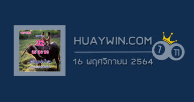 หวยควายนำโชค 16/11/64