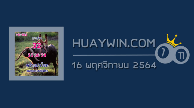 หวยควายนำโชค 16/11/64