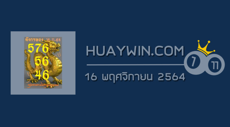 หวยมังกรทอง 16/11/64