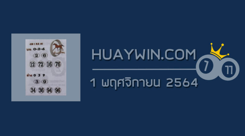 หวยม้านำโชค 1/11/64
