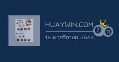 หวยม้านำโชค 16/11/64