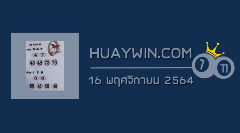 หวยม้านำโชค 16/11/64