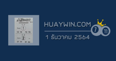 หวยม้าสีหมอก 1/12/64