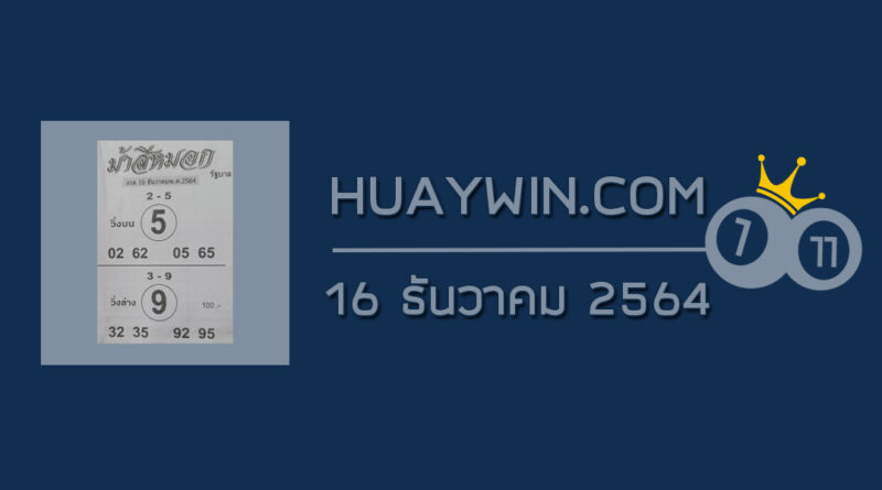 หวยม้าสีหมอก 16/12/64