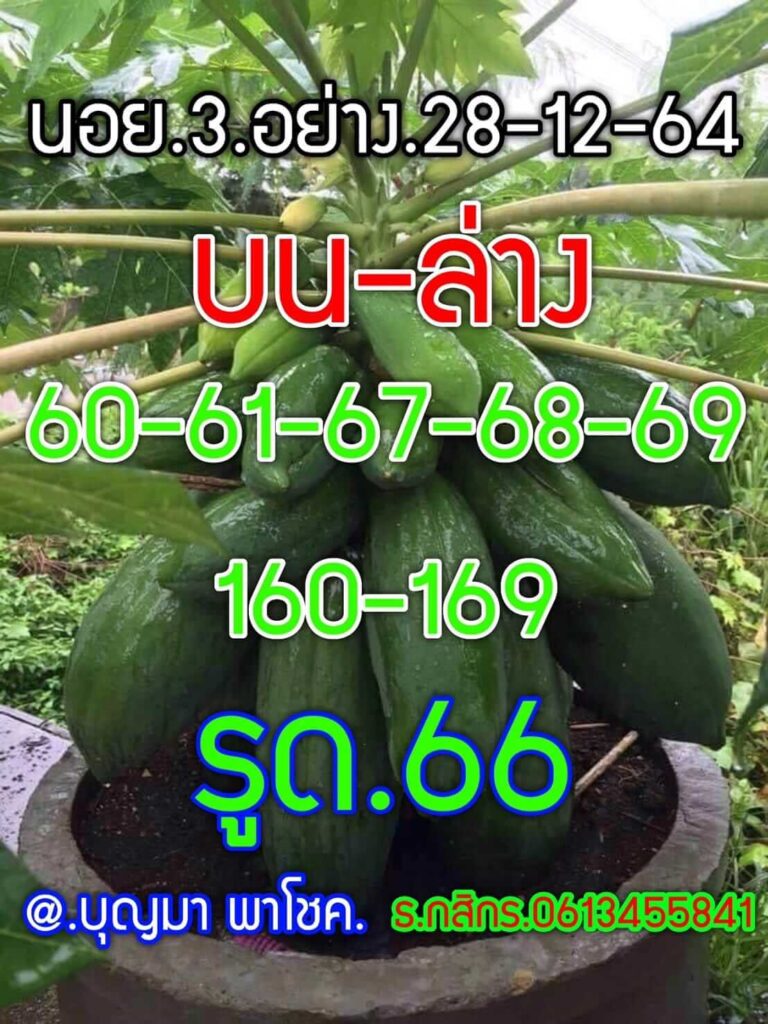 แนวทางหวยฮานอย 28/12/64 ชุดที่ 2