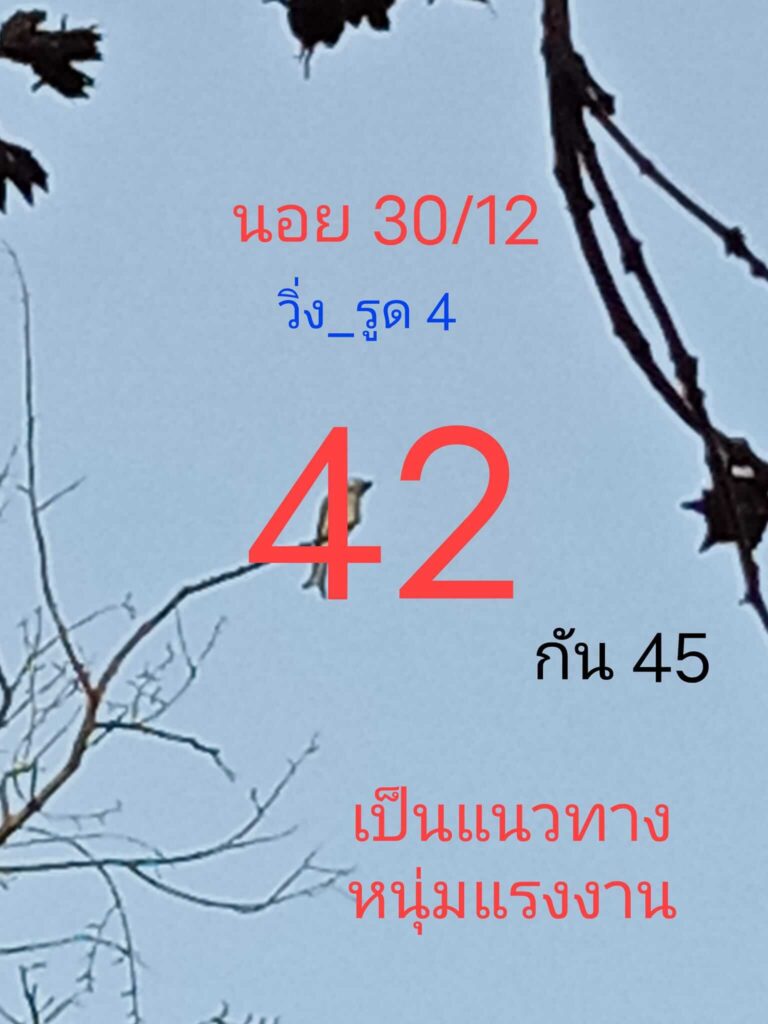 แนวทางหวยฮานอย 30/12/64 ชุดที่ 9