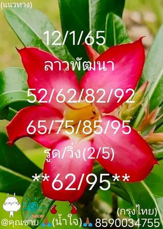 แนวทางหวยลาว 12/1/65 ชุดที่ 1