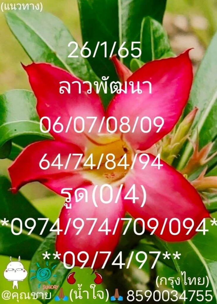 แนวทางหวยลาว 26/1/65 ชุดที่ 2