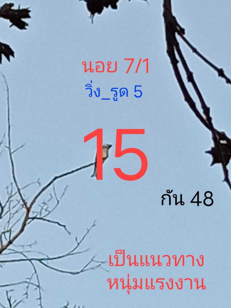 แนวทางหวยฮานอย 7/1/65 ชุดที่ 3