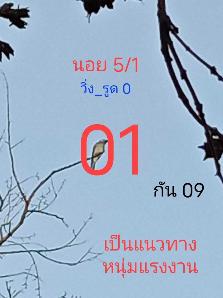 แนวทางหวยฮานอย 5/1/65 ชุดที่ 3