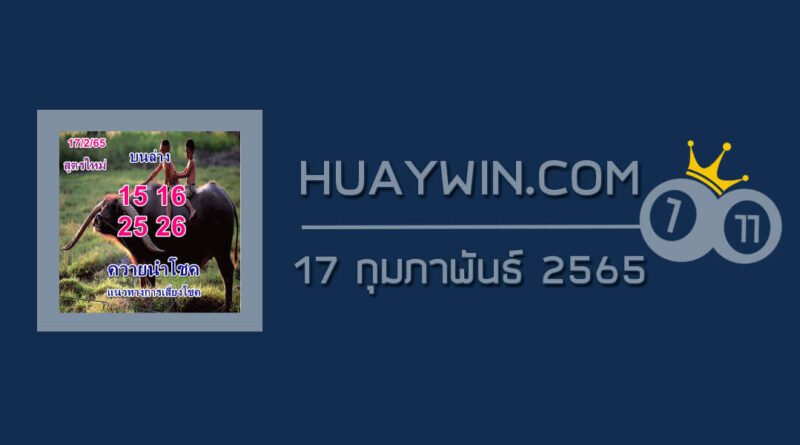 หวยควายนำโชค 17/2/65 