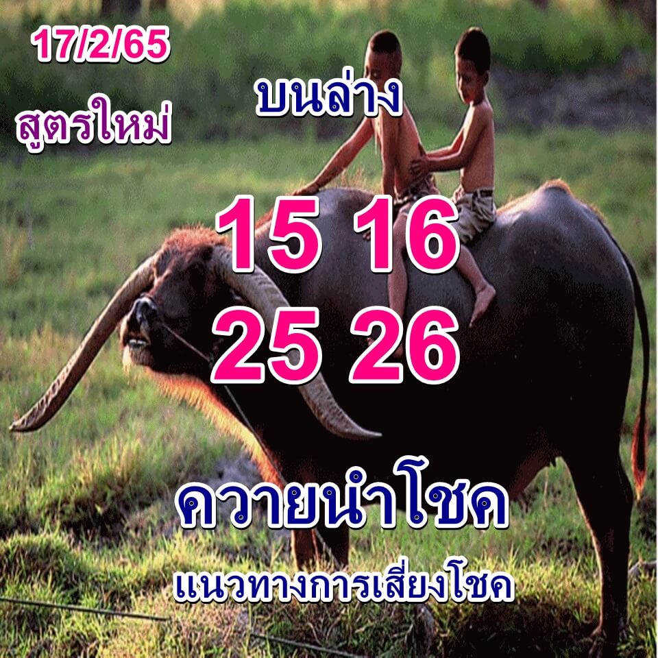 หวยควายนำโชค 17/2/65 