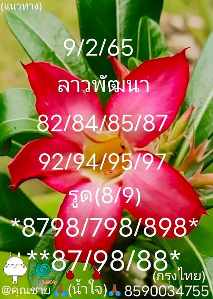 แนวทางหวยลาว 9/2/65 ชุดที่ 6