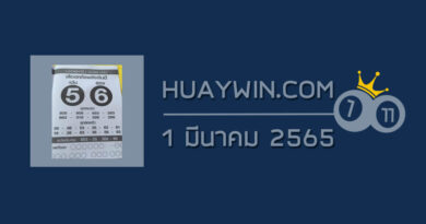 หวยเสือตกถังพลังเงินดี 1/3/65