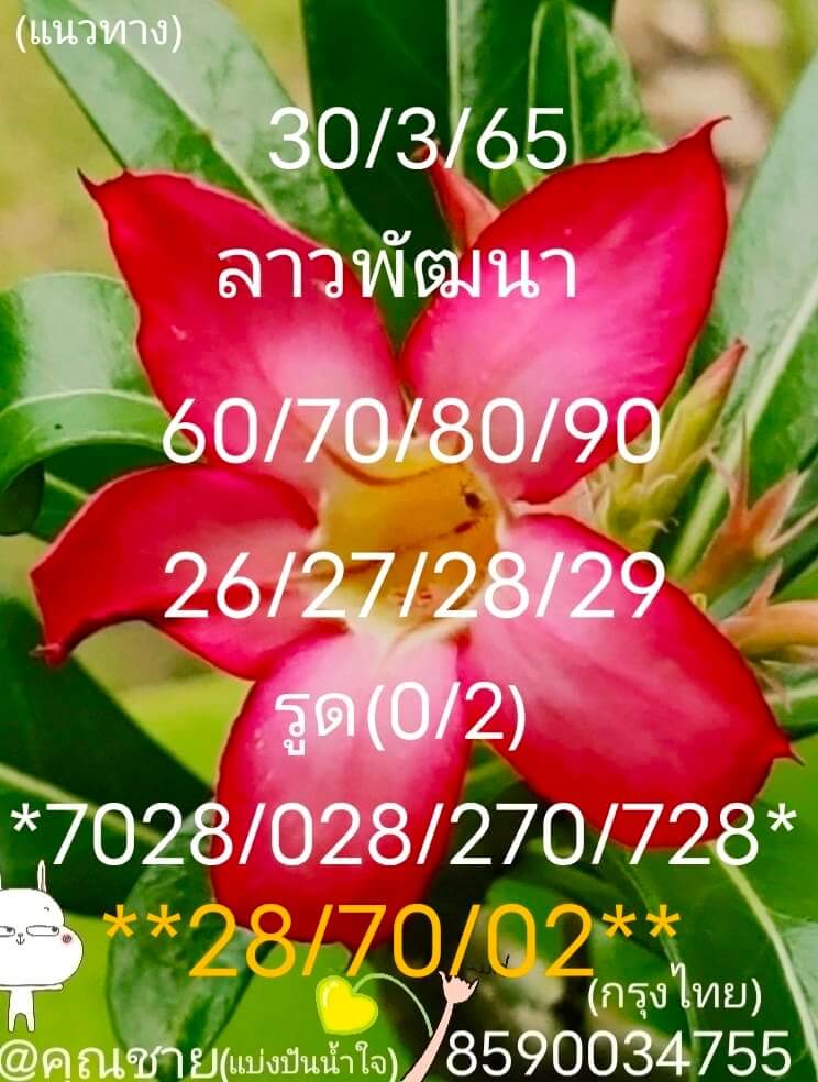 แนวทางหวยลาว 30/3/65 ชุดที่ 1