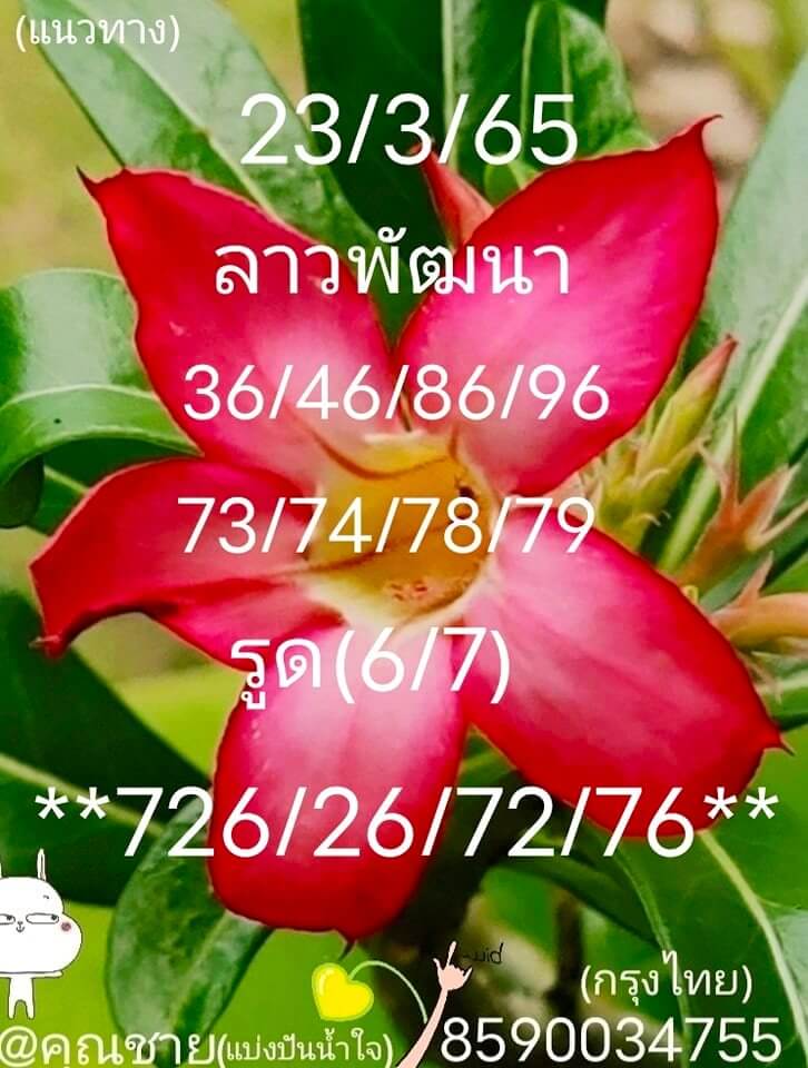 แนวทางหวยลาว 23/3/65 ชุดที่ 1