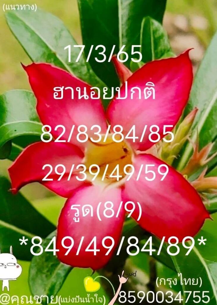 แนวทางหวยฮานอย 17/3/65 ชุดที่ 3