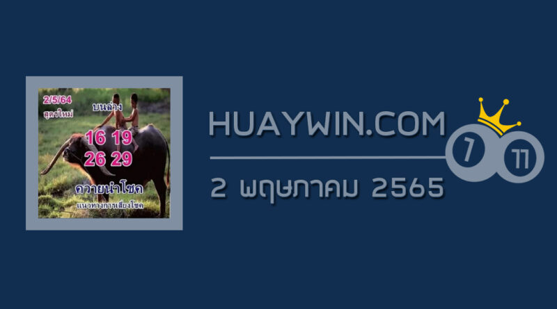 หวยควายนำโชค 2/5/65