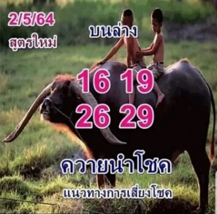 หวยควายนำโชค 2/5/65