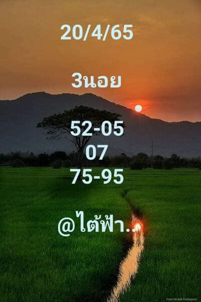 แนวทางหวยฮานอย 20/4/65 ชุดที่ 10