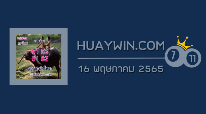 หวยควายนำโชค 16/5/65