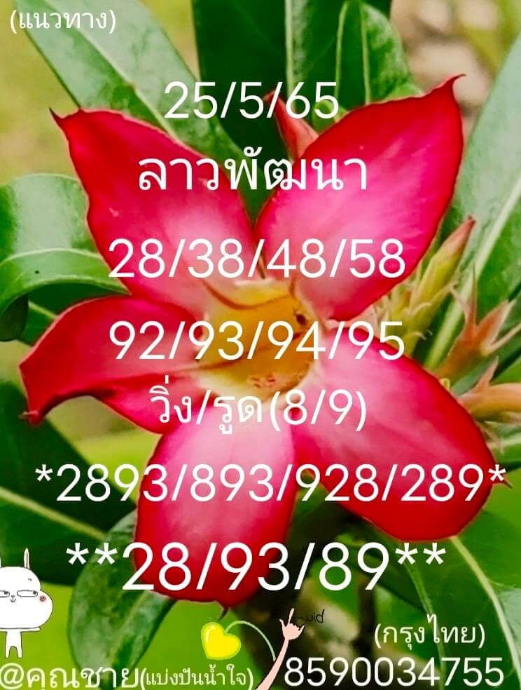 แนวทางหวยลาว 25/5/65 ชุดที่ 8