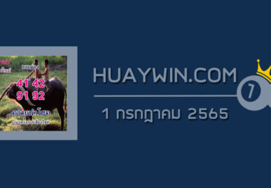 หวยควายนำโชค 1/7/65