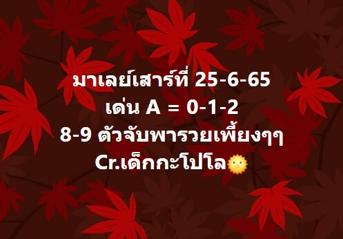 หวยมาเลย์วันนี้ 25/6/65 ชุดที่ 3