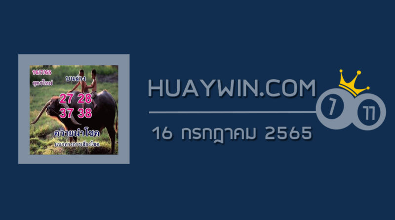 หวยควายนำโชค 16/7/65