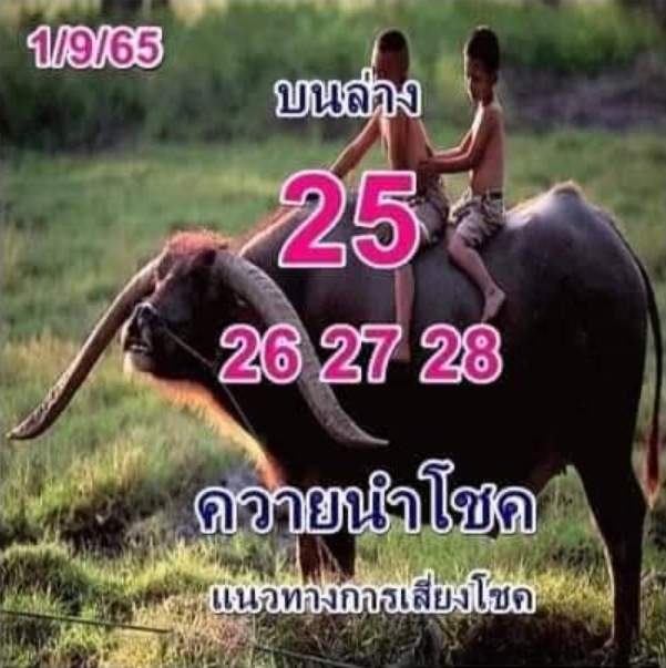 หวยควายนำโชค 1/9/65