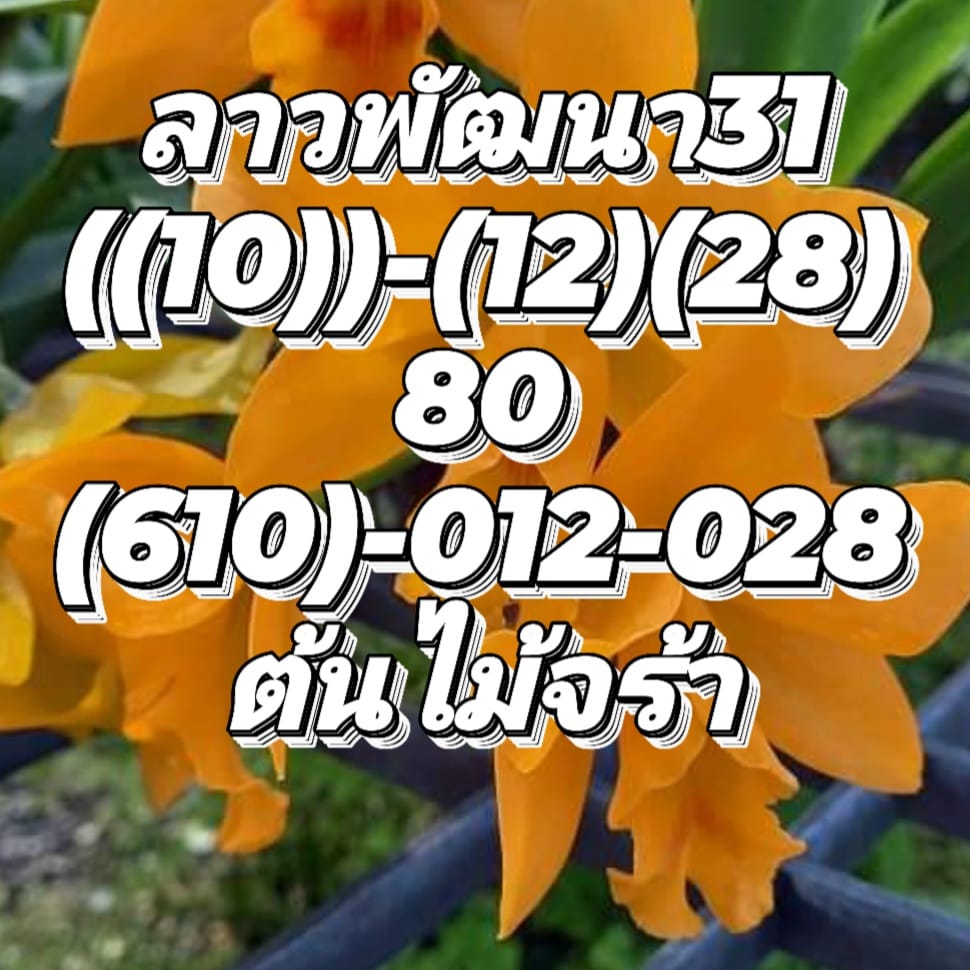 แนวทางหวยลาว 31/8/65 ชุดที่ 3