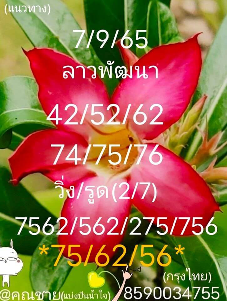 แนวทางหวยลาว 7/9/65 ชุดที่ 5