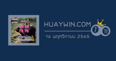 หวยควายนำโชค 16/11/65