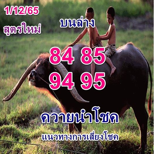 หวยควายนำโชค 1/12/65