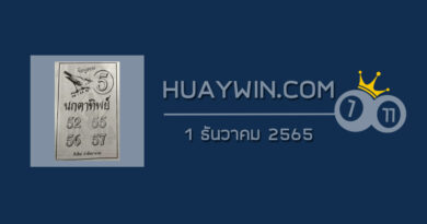 หวยนกตาทิพย์ 1/12/65 อัพเดทเลขดัง ข้อมูลบนงวดนี้!