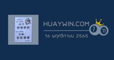 หวยม้านำโชค 16/11/65