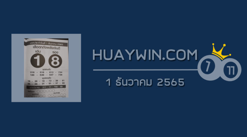 หวยเสือตกถังพลังเงินดี 1/12/65 ซองเด่นซองดัง หวยเด็ดงวดนี้!