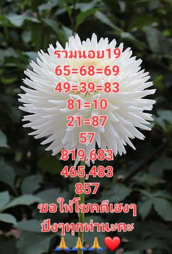 แนวทางหวยฮานอย 19/12/65 ชุดที่ 10