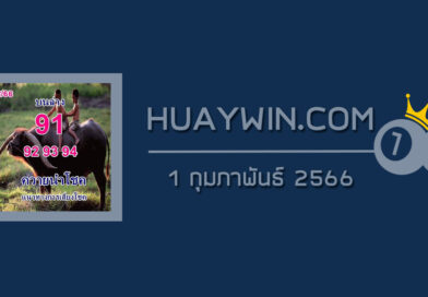 หวยควายนำโชค 1/2/66