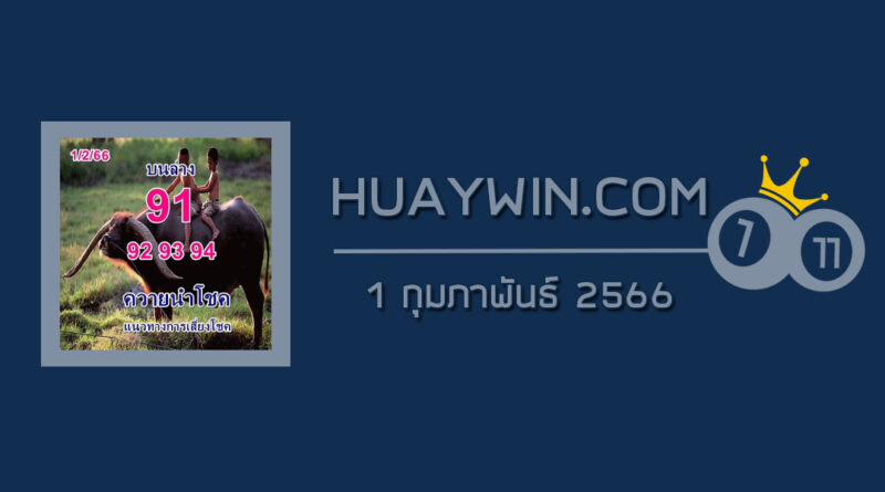 หวยควายนำโชค 1/2/66