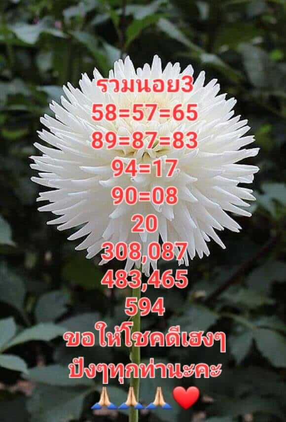 แนวทางหวยฮานอย 3/1/66 ชุดที่ 7