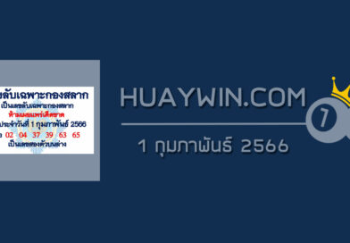 เลขลับเฉพาะกองสลาก 1/2/66