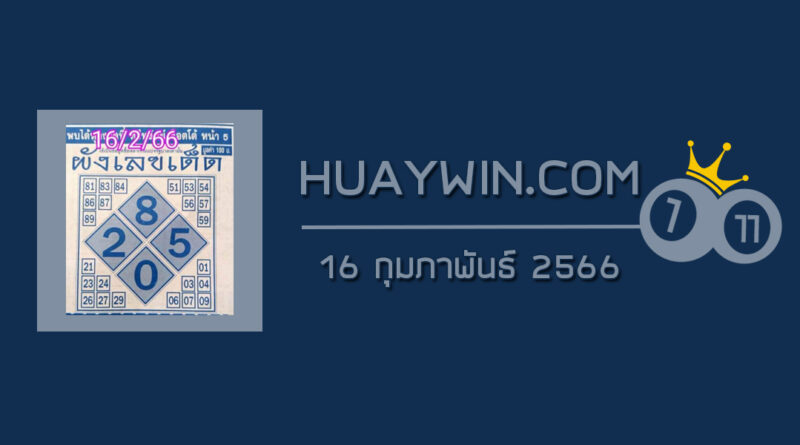 ผังเลขเด็ด 16/2/66