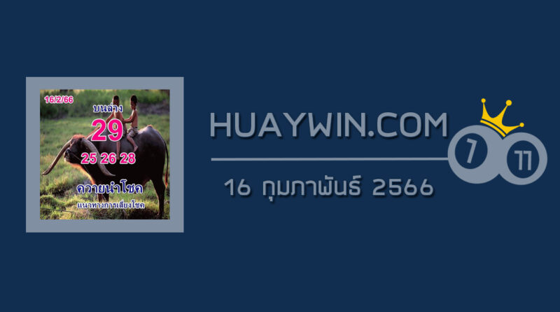 หวยควายนำโชค 16/2/66