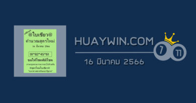 หวยใบเขียว 16/3/66