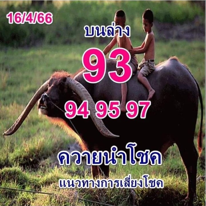 หวยควายนำโชค 16/4/66