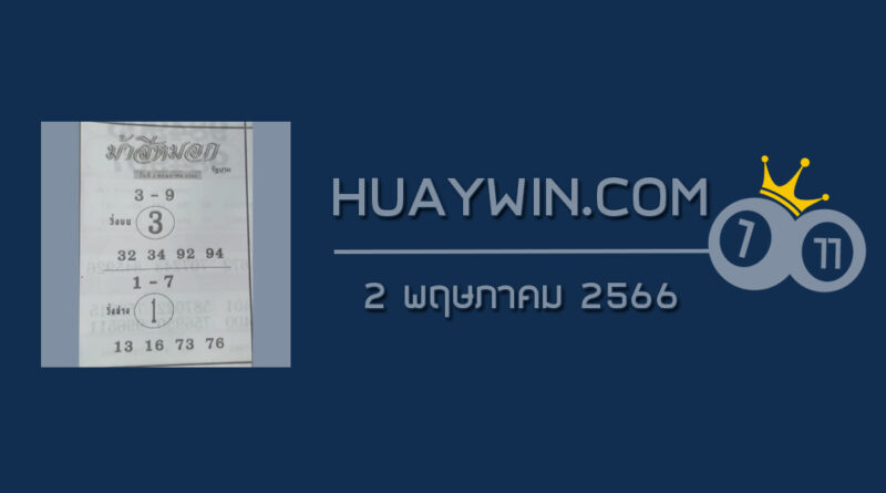 หวยม้าสีหมอก 2/5/66