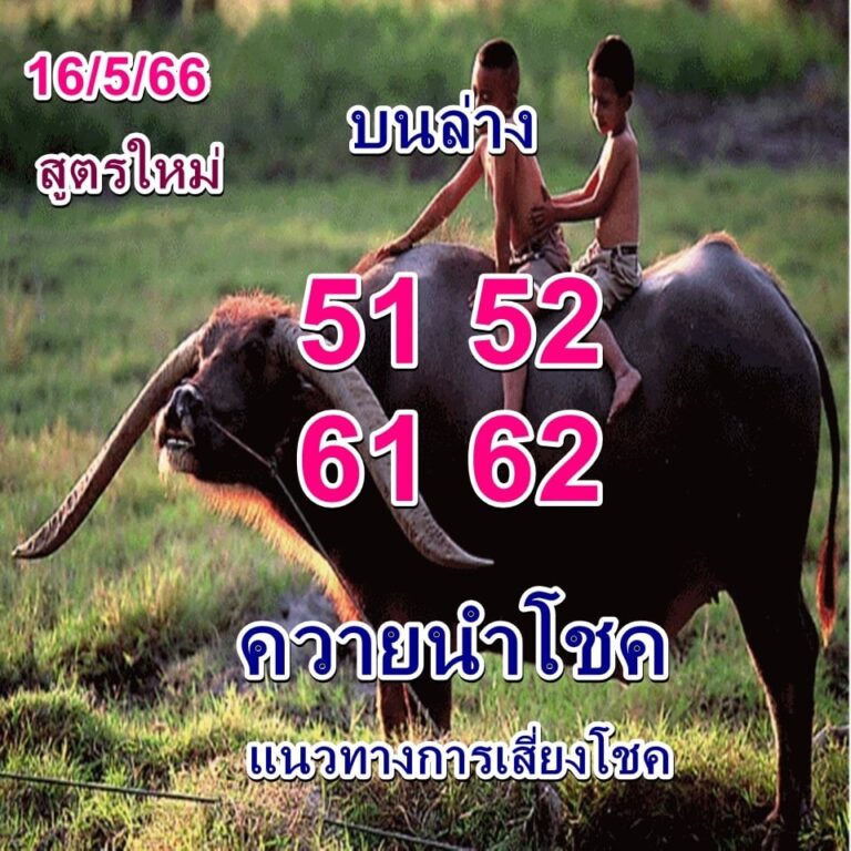 หวยควายนำโชค 16/5/66